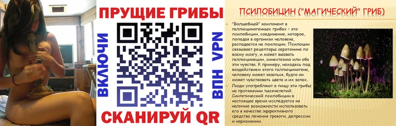 купить  сайты  нарко площадка Telegram  Галлюциногенные грибы мицелий  Армавир  hydra как войти 